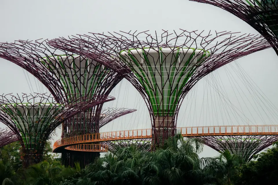 The Supertree Grove at Gardens by the Bay in Singapore, with its elevated walkway above the palm trees