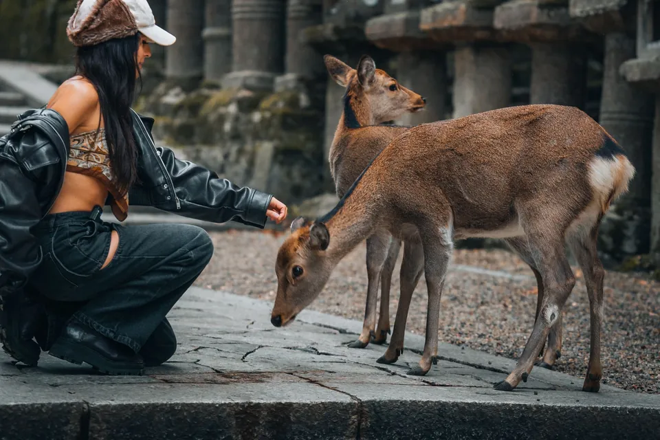 A visitor crouching to greet two deer beside moss-covered stone lanterns in Nara Park