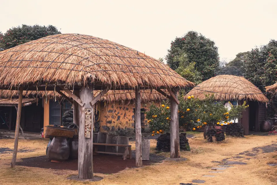 Thatched stone houses and potted tangerine trees in a traditional Jeju village