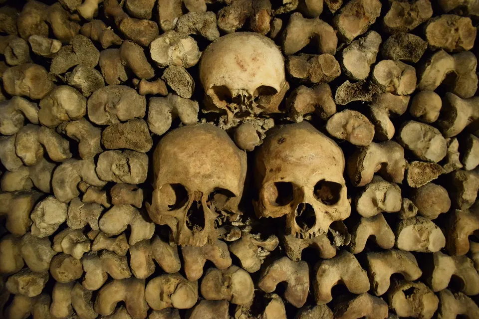 Skulls and bones stacked along a wall of the Paris Catacombs