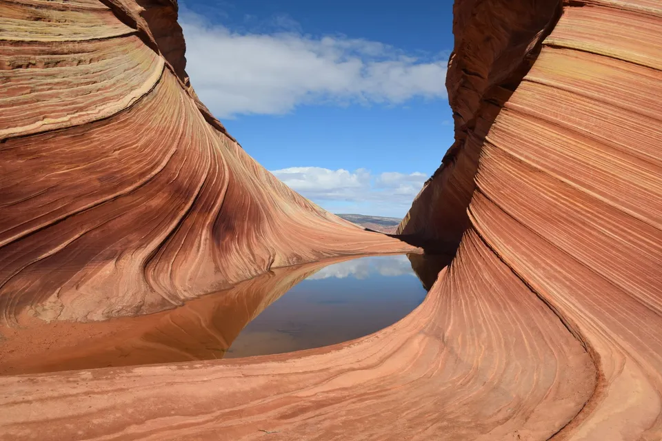 The swirling striped sandstone of The Wave in Arizona, with a pool of rainwater